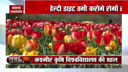 Download Video: Organic farming in Kashmir becomes new prospect for the youngsters