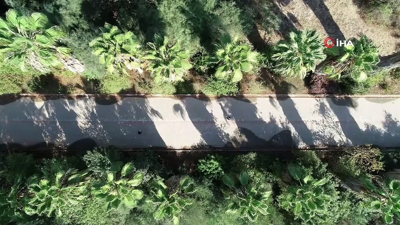 Botanik Bahçesindeki Kaktüsleri Çaldılar