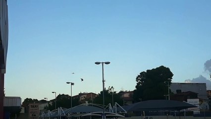 [SBFZ Spotting]Boeing 737-800 PR-GXA na aproximação final antes de pousar em Fortaleza vindo de Belém do Pará