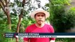 Limbah Medis Bekas Tes Covid-19 Dibuang di Pinggir Jalan, Diduga Bekas Tes Karyawan Perusahaan