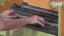 Scarlatti : Sonate pour clavecin en ré mineur K 516 LS 12 (Allegretto), par Carole Cerasi - #Scarlatti555