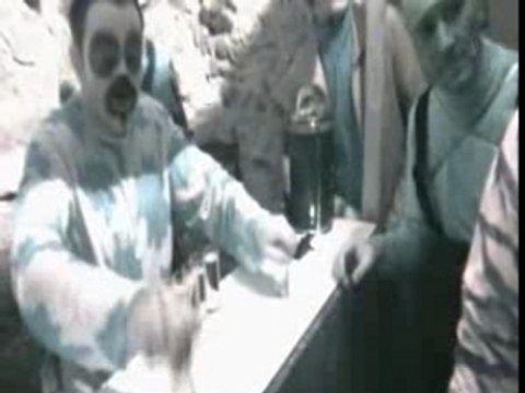 LA CAVE AUX FOLLEDINGOS (animaux insectes) by crb