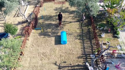 AKUT'un köpeği 'Bob' da İzmir'de çalışmalara büyük katkı sağladı - AYDIN