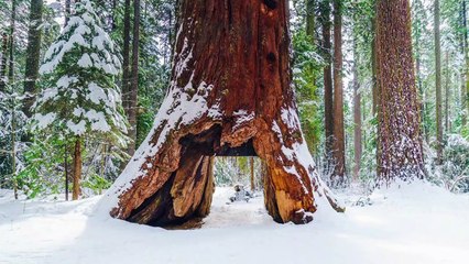 Viaje a los lugares que ya no disfrutaremos más