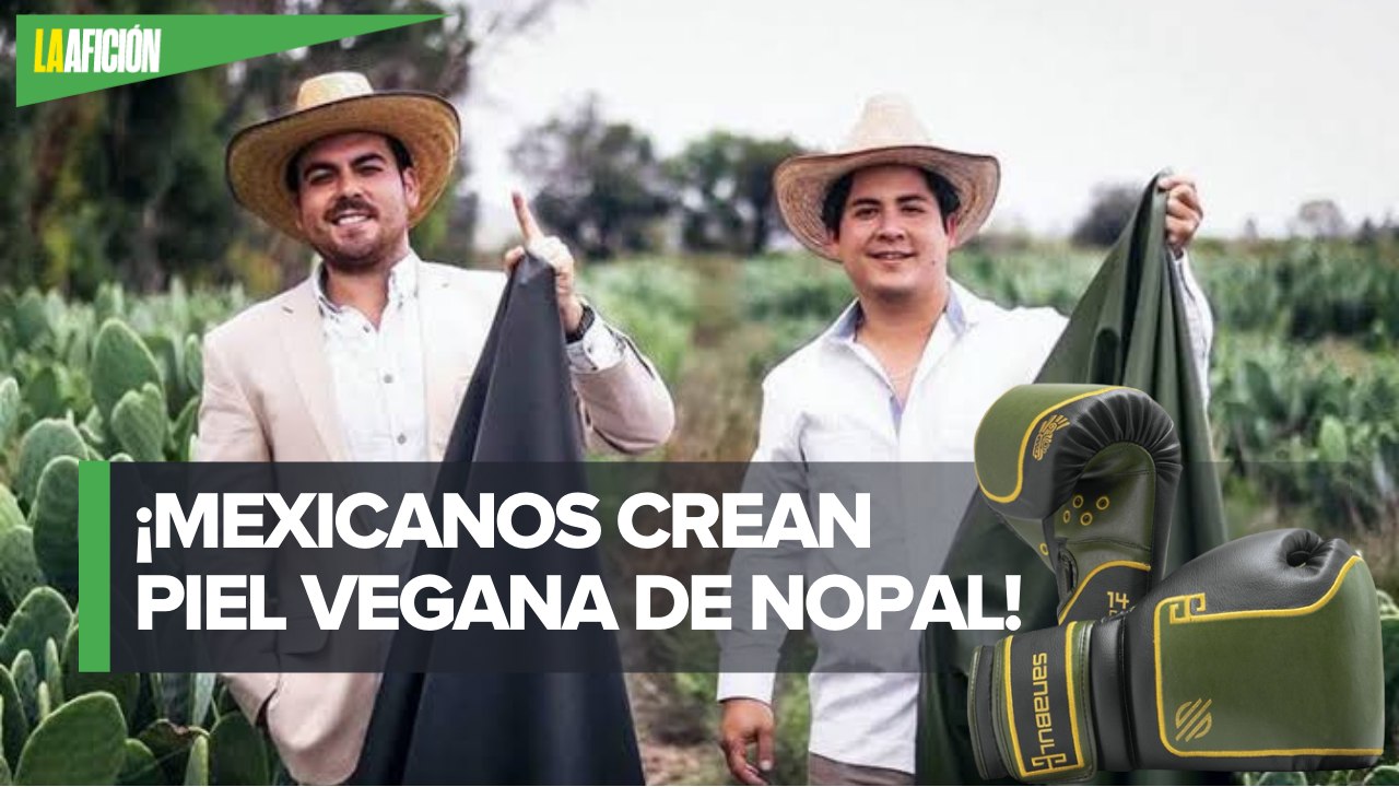 Cuero de nopal, una piel verde e innovadora para guantes de box