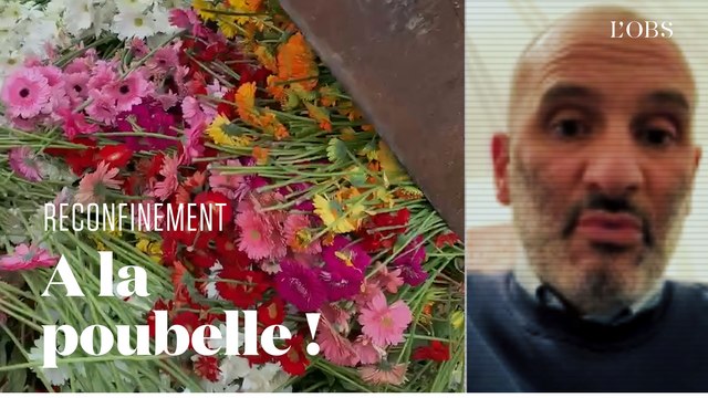 Fermeture des fleuristes : l'appel d'un horticulteur contraint de jeter 20 000 fleurs par jour