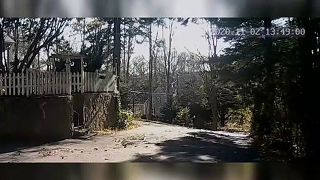 Wind Sends Tree Falling into House