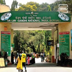 Borivali Sanjay Gandhi National Park; One Of The Most Favorite Travel Spot Of Every Mumbaikar