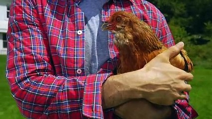 Yellowstone Bans Man Who Tried To Fry Chicken in Hot Spring