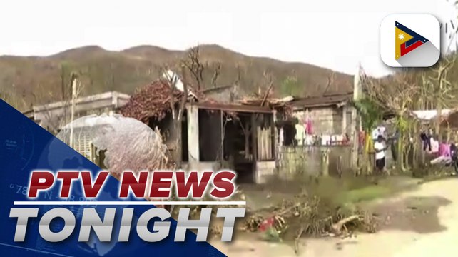 Catanduanes residents left homeless narrate their helplessness vs. 'Rolly'