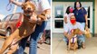 Après 400 jours passés dans un refuge, une jeune chienne a finalement trouvé une famille
