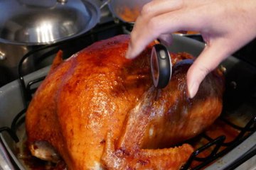 Ina Garten's Tip for Thanksgiving Turkey That's Actually Good