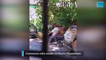 Cartoneros roba ruedas en Barrio Hipódromo