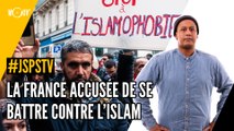 Je sais pas si t'as vu... La France accusée de se battre contre l'islam