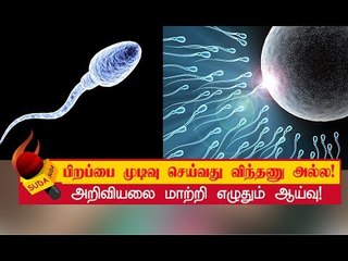 தந்தையின் விந்தணுவா அல்லது தாயின் முட்டையா?