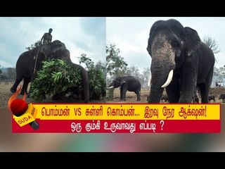 அதிர்ந்து போன வனத்துறை! சினிமாவை மிஞ்சிய ஒரு கிளைமாக்ஸ்! | அத்தியாயம் 12