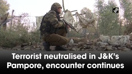 Terrorist neutralised in J&K’s Pampore, encounter continues
