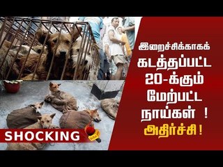 இறைச்சிக்காகக் கடத்தப்படும் நாய்கள்! தொடரும் அதிர்ச்சி சம்பவம்!