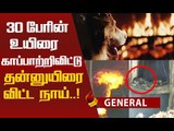 30 உயிரை காத்த நாயின் பரிதாப நிலை! #Viral