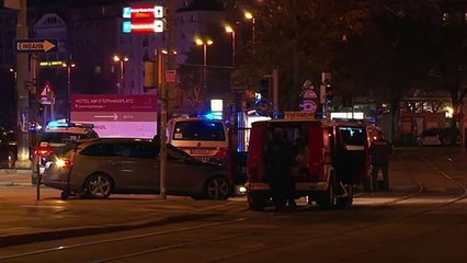 Gobierno austriaco ordena cierre de "mezquitas radicales" tras el atentado en Viena