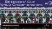 Breeders’ Cup Classic: Exacta, Trifecta, Odds and Best Bets