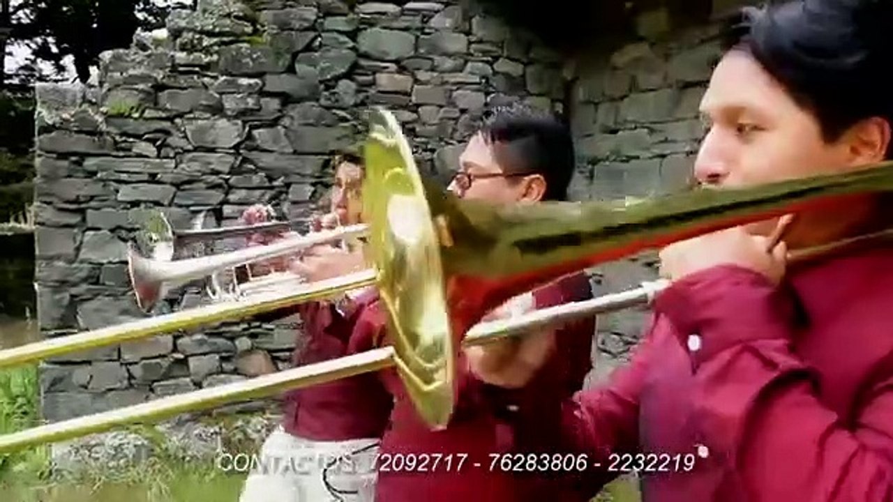 PIRATAS BAND - Dame Un Besito (Full HD) - VIENDO ES LA COSA