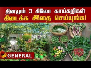மாடித்தோட்டத்தில் லாபம் பார்க்க இதுதான் வழி! | Terrace Gardening Tips