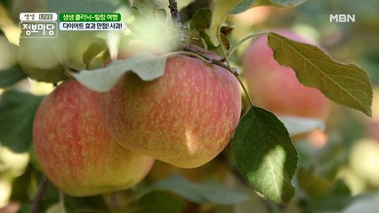 지방을 배출해준다고요?! 다이어트에 효과만점인 제철 과일!
