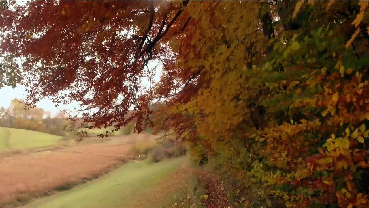 11 km Rundlauf EBE - Sigersdorf - EBE Nov 20