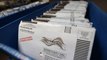 Swing State Determinations Could Hinge on Rejected Mail-In Ballots