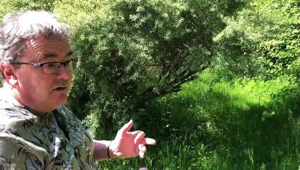 Comment faire revenir les oiseaux dans nos campagnes ? Les conseils d’un ornithologue amateur haut-savoyard