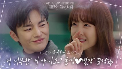 8화#하이라이트# ′큐티뽀짝뽀블리′ 박보영X′제2의 최수종′ 서인국의 달달로맨스♡(솔로는 광광 우럭따ㅠ)