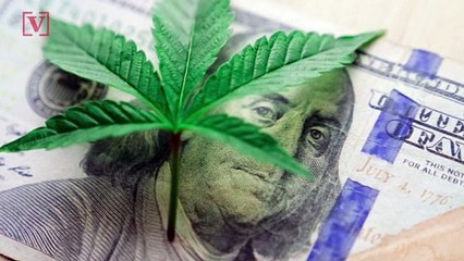 Legal Cannabis Businesses Reached a Record $17.5 Billion in Sales in 2020