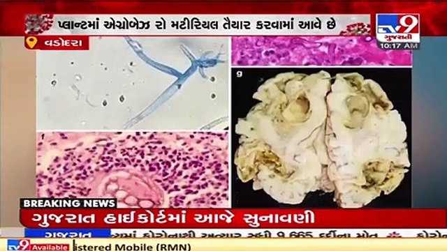 Production capacity of raw materials used for manufacturing Amphotericin B ramped-up _ TV9News