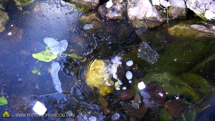 Donmuş gölete kuru buz attılar! İşte ilginç sonuç...