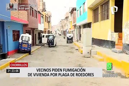 Chorrillos: vecinos reportan que son afectados por gran cantidad de ratas