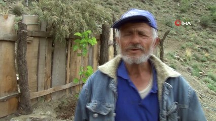 Yetişmez denilen bitkiyi konservelerle yetiştirip ardından toprakla buluşturdu