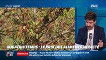 Dupin Quotidien : Le prix des aliments impacté par le mauvais temps - 26/05