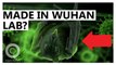 Republicans: COVID-19 Started in Wuhan Lab