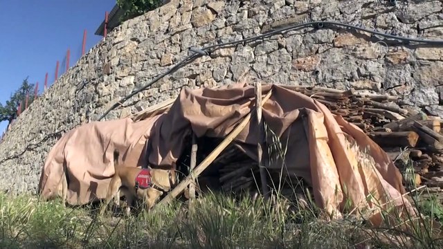 Diyarbakır kırsalında hava destekli narko-terör operasyonu başlatıldı