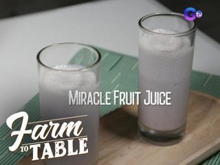 Farm To Table: How to make Miracle Fruit Juice