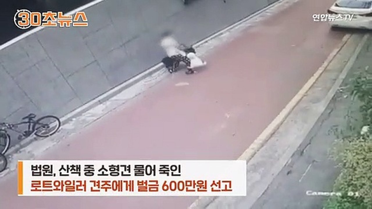 [30초뉴스] "이웃 배려했어야"…스피츠 죽인 맹견 주인 판결