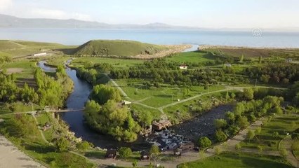 "Van Gölü'nün incisi"nin zorlu yolculuğu belgeselle dünyaya tanıtılacak