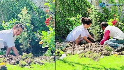 Plant Trees, Save Planet- Kangana Ranaut