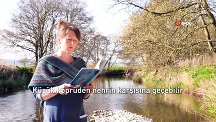 İstanbulensis Şiir Festivali’nde Filistin'e destek çağrısı