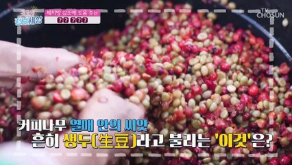 뱃살 제거 도우미! 지방 생성 유전자를 막아준다는 ☞○○○○○☜ TV CHOSUN 210526 방송