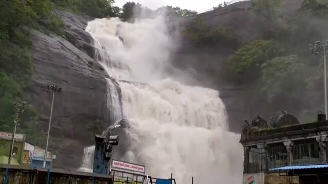 விடிய, விடிய வெளுத்து வாங்கிய கனமழை.. குற்றாலம் அருவிகளில் வெள்ளபெருக்கு - வீடியோ