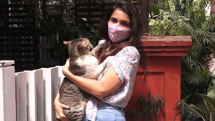 Siddharth shukla की Love Dady जो Broken But Beautiful 3 मै है वो यहां पर हुई Spotted | FilmiBeat