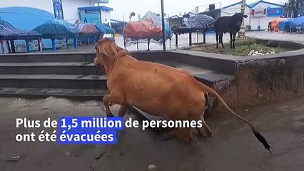 Un puissant cyclone balaye les côtes orientales de l'Inde