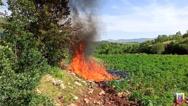 Diyarbakır'da dev uyuşturucu operasyonu: 263 kilo esrar, 135 bin 500 kök kenevir bitkisi ele geçirildi